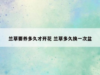 兰草要养多久才开花 兰草多久换一次盆