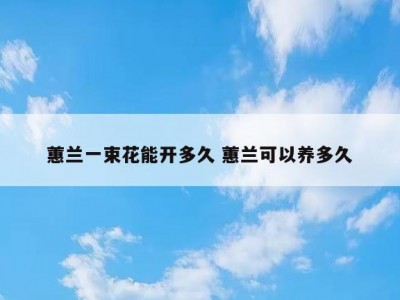 蕙兰一束花能开多久 蕙兰可以养多久