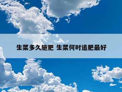 生菜多久施肥 生菜何时追肥最好