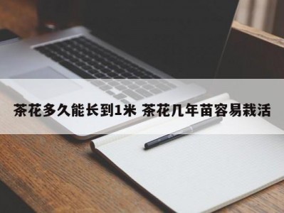 茶花多久能长到1米 茶花几年苗容易栽活