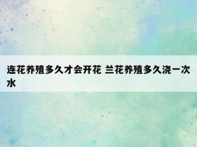 连花养殖多久才会开花 兰花养殖多久浇一次水