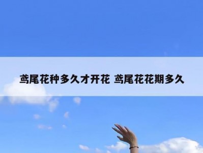 鸢尾花种多久才开花 鸢尾花花期多久