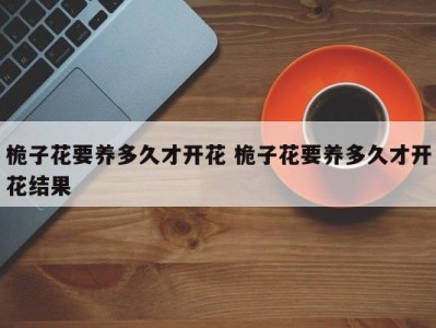 桅子花要养多久才开花 桅子花要养多久才开花结果