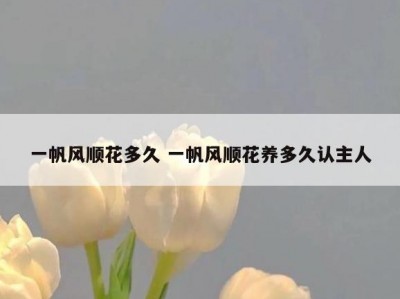 一帆风顺花多久 一帆风顺花养多久认主人