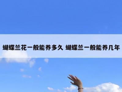 蝴蝶兰花一般能养多久 蝴蝶兰一般能养几年
