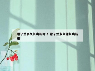 君子兰多久长出新叶子 君子兰多久能长出新根