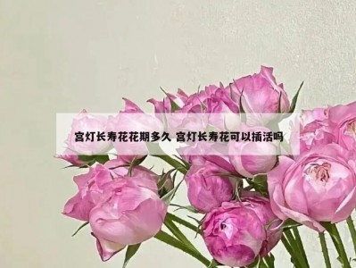 宫灯长寿花花期多久 宫灯长寿花可以插活吗