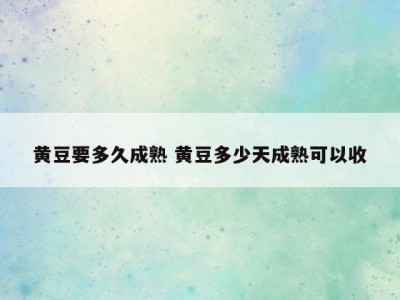 黄豆要多久成熟 黄豆多少天成熟可以收