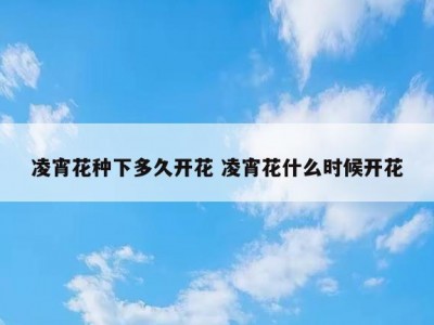 凌宵花种下多久开花 凌宵花什么时候开花