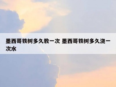 墨西哥铁树多久教一次 墨西哥铁树多久浇一次水
