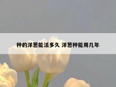 种的洋葱能活多久 洋葱种能用几年