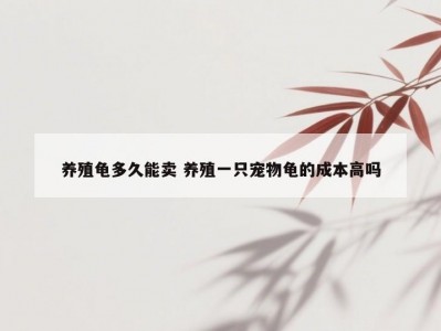 养殖龟多久能卖 养殖一只宠物龟的成本高吗