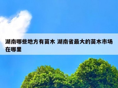 湖南哪些地方有苗木 湖南省最大的苗木市场在哪里