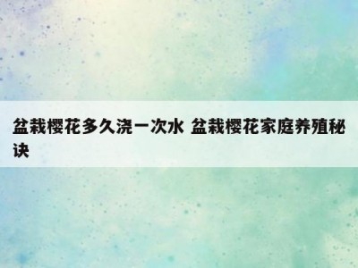 盆栽樱花多久浇一次水 盆栽樱花家庭养殖秘诀