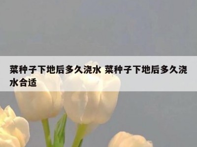 菜种子下地后多久浇水 菜种子下地后多久浇水合适