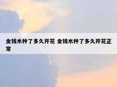 金钱木种了多久开花 金钱木种了多久开花正常
