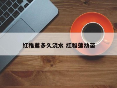 红稚莲多久浇水 红稚莲幼苗