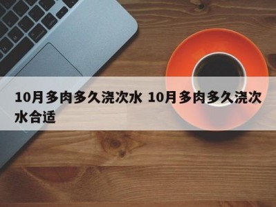 10月多肉多久浇次水 10月多肉多久浇次水合适