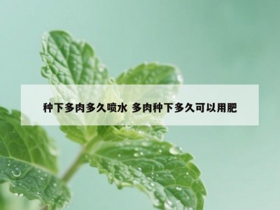 种下多肉多久喷水 多肉种下多久可以用肥