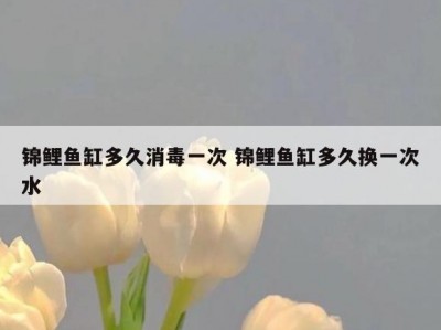 锦鲤鱼缸多久消毒一次 锦鲤鱼缸多久换一次水