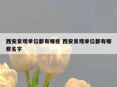 西安景观单位都有哪些 西安景观单位都有哪些名字