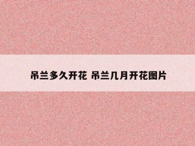 吊兰多久开花 吊兰几月开花图片