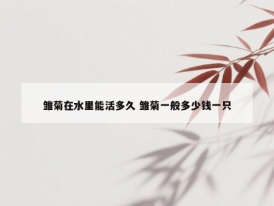 雏菊在水里能活多久 雏菊一般多少钱一只