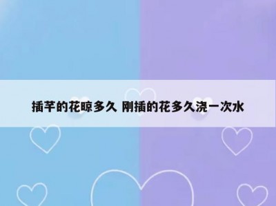 插芊的花晾多久 刚插的花多久浇一次水