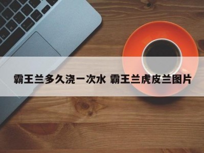 霸王兰多久浇一次水 霸王兰虎皮兰图片