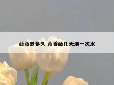 蒜藤煮多久 蒜香藤几天浇一次水