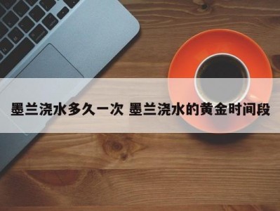 墨兰浇水多久一次 墨兰浇水的黄金时间段