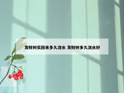 发财树买回来多久浇水 发财树多久浇水好