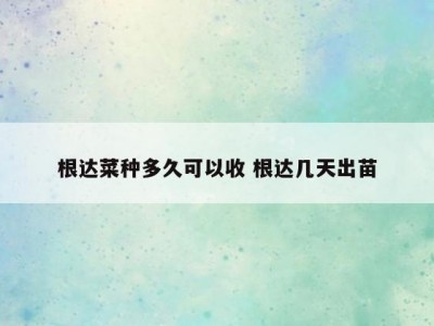 根达菜种多久可以收 根达几天出苗