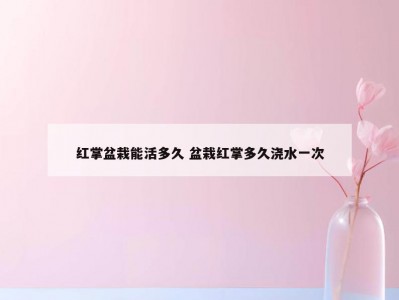 红掌盆栽能活多久 盆栽红掌多久浇水一次