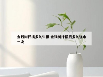 金钱树扦插多久生根 金钱树扦插后多久浇水一次