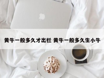 黄牛一般多久才出栏 黄牛一般多久生小牛