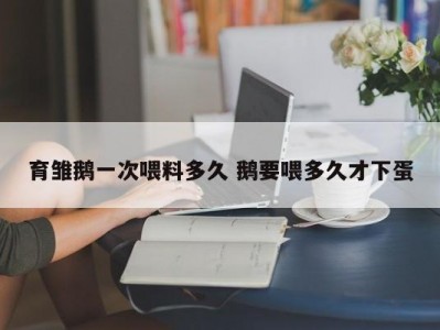 育雏鹅一次喂料多久 鹅要喂多久才下蛋
