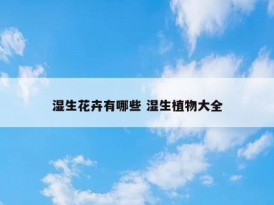 湿生花卉有哪些 湿生植物大全