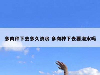 多肉种下去多久浇水 多肉种下去要浇水吗