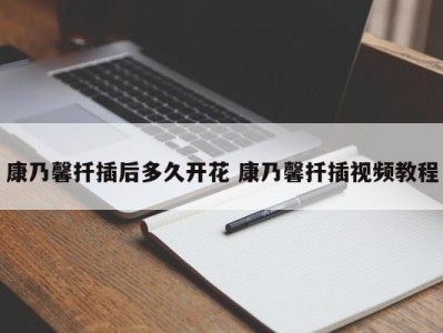 康乃馨扦插后多久开花 康乃馨扦插视频教程