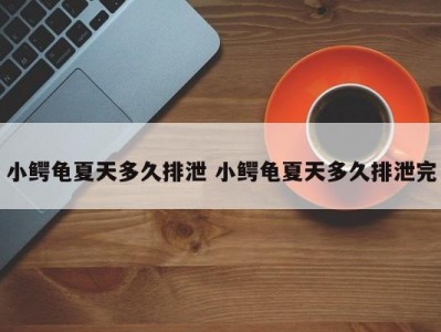 小鳄龟夏天多久排泄 小鳄龟夏天多久排泄完