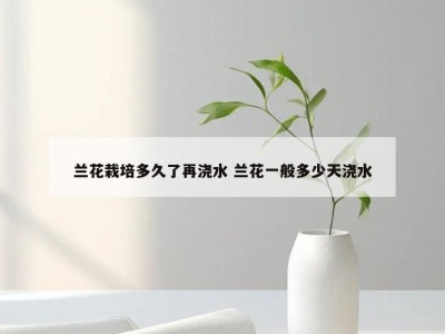 兰花栽培多久了再浇水 兰花一般多少天浇水