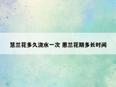 慧兰花多久浇水一次 惠兰花期多长时间