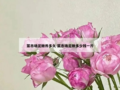 菜市场泥鳅养多久 菜市场泥鳅多少钱一斤