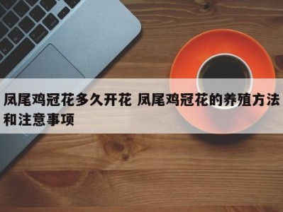 凤尾鸡冠花多久开花 凤尾鸡冠花的养殖方法和注意事项