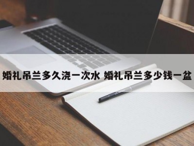 婚礼吊兰多久浇一次水 婚礼吊兰多少钱一盆
