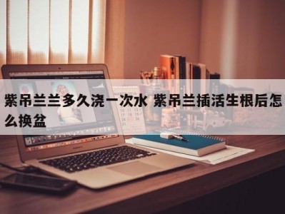 紫吊兰兰多久浇一次水 紫吊兰插活生根后怎么换盆