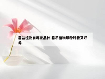 垂盆植物有哪些品种 垂吊植物那种好看又好养