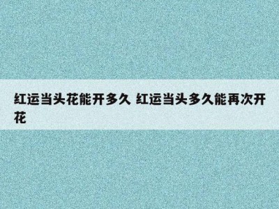 红运当头花能开多久 红运当头多久能再次开花