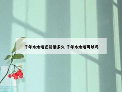千年木水培还能活多久 千年木水培可以吗